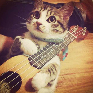 鸡巴操我使劲操，快点干我，舒服死了，不要停，继续干我
